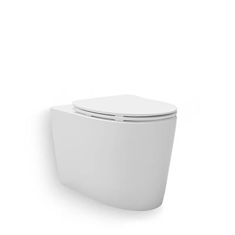 Grande® Wall Faced Toilet